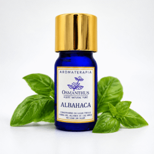 albahaca