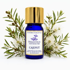 cajeput