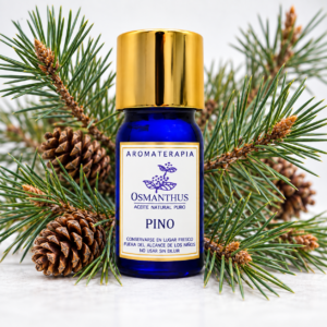 Aceite esencial de Pino Osmanthus con ramas y agujas de pino