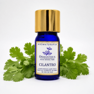 cilantro